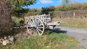 St Julien sur Bibost le 30 octobre 2025