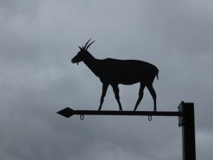 St Martin en Haut 20.02.2026