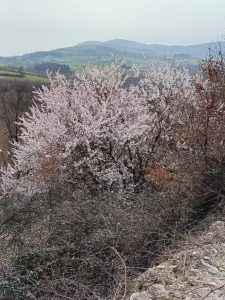 La Croix Régis le 5.03.2026