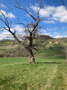 Croix Forest le 2 avril 2026